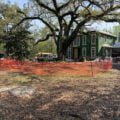 Keeping an eye on Root  Systems